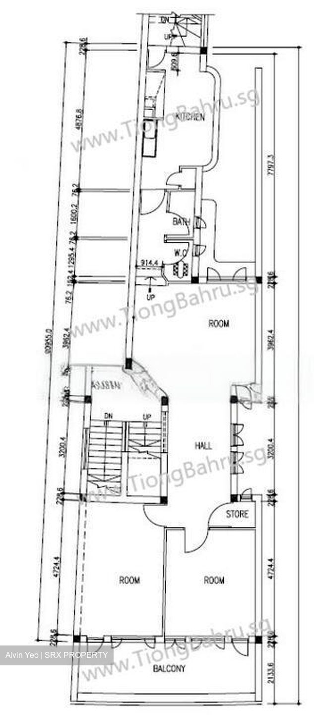 Tiong Bahru Estate (D3), Apartment #425958231